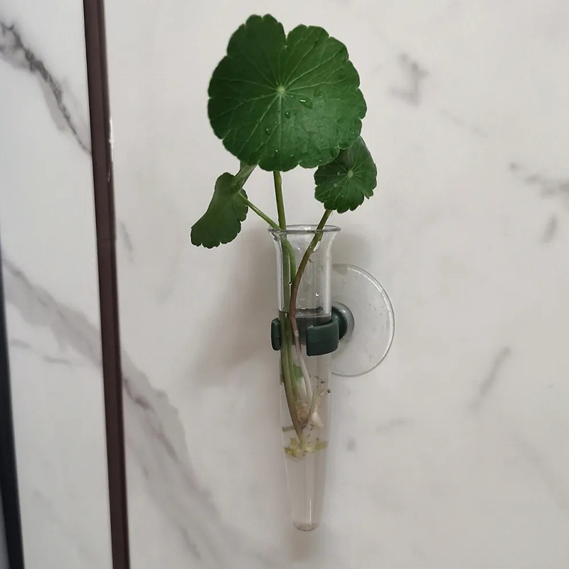 11cm Floral Water Tubes Plasti - đánh giá và giá Nutrition & Fitness Coaching Fulham